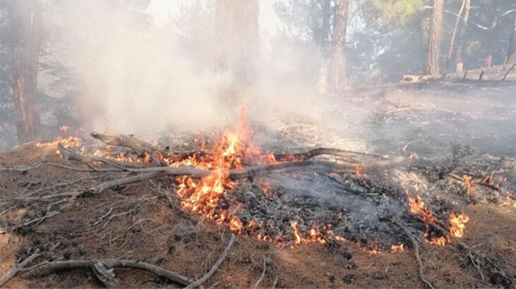 Son dakika… Adana’da orman yangını