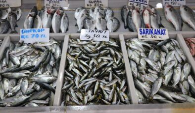 Tekirdağ’da balıkçılar sis nedeniyle açılamayınca balık fiyatları arttı