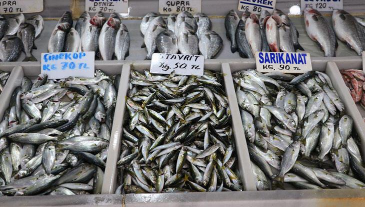Tekirdağ’da balıkçılar sis nedeniyle açılamayınca balık fiyatları arttı