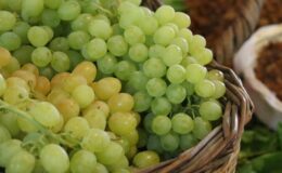 Türkiye’nin yaş üzüm ihracatı yüzde 36 arttı
