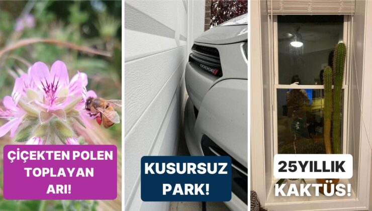 Gördüğünüz Andan İtibaren Zevki İliklerinize Kadar Hissedeceğiniz Birbirinden Etkileyici 21 Fotoğraf