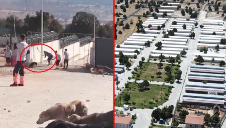 Konya’da köpeklerin kürekle telef edildiği barınakta ilk fatura kesildi