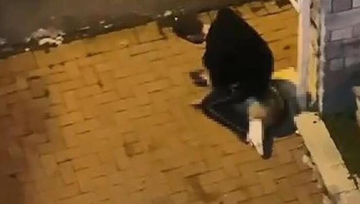 Konya’daki vahşetin ardından kan donduran bir görüntü de İstanbul’da kaydedildi! Köpeği boğmaya çalıştı