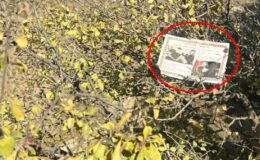 Mehmetçik, PKK’lı teröristlerin geçiş güzergahına 2 ayrı dilde bildiri attı