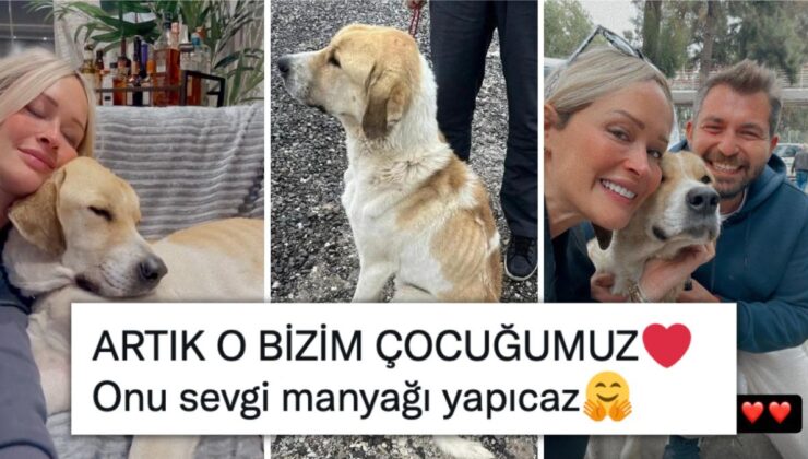 Meriç Keskin, Konya Barınağı’nda Başına Kürekle Vurulan Köpeği Sahiplendi!