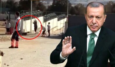 Son Dakika! Cumhurbaşkanı Erdoğan’dan Konya’daki köpek katliamına tepki: İki vicdansızın yaptıklarını ben de üzüntüyle izledim
