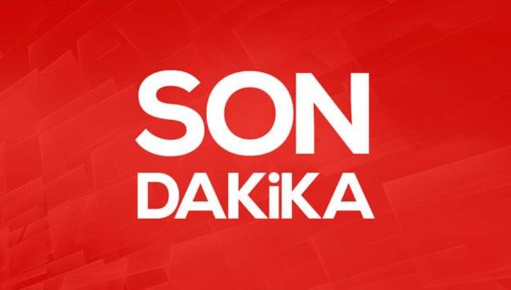 Son Dakika: İstanbul Sarıyer’de köpeğe işkence eden zanlı çıkarıldığı mahkemece tutuklandı