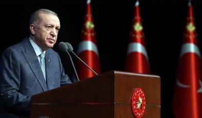 Cumhurbaşkanı Erdoğan 6 yaşındaki çocuğun istismar olayını hatırlatıp, muhalefete yüklendi: Bunların derdi tepki koymak değil