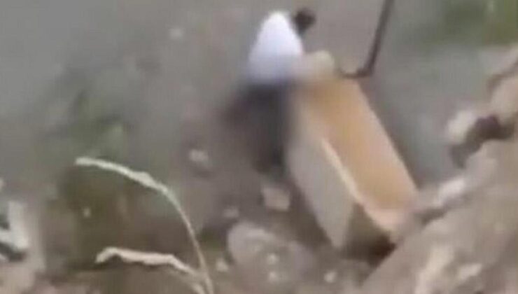 Köpeğe cinsel istismarda bulunan taş ocağı bekçisi, 1 yıl 6 ay hapis ve 5 bin lira para cezasına çarptırıldı