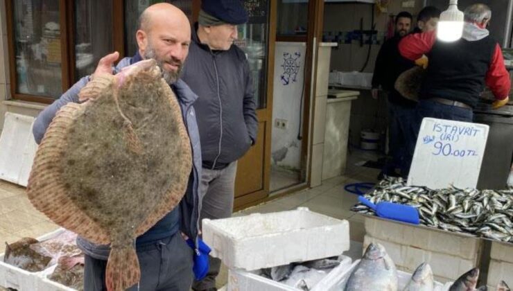 Karadeniz’de avlanan yaklaşık 9 kiloluk kalkan balığı 5 bin liraya satıldı