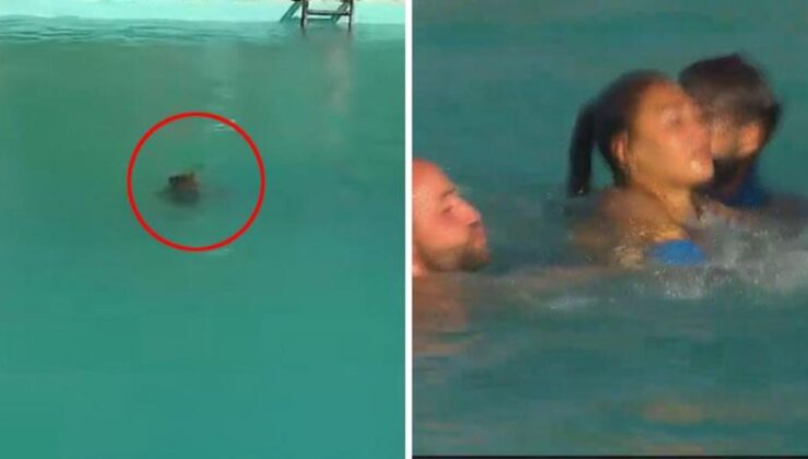 Survivor’da yürekler ağza geldi! Havuza düşen yarışmacı sudan çıkamadı