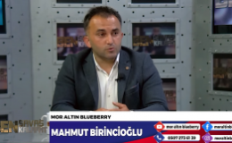 MAHMUT BİRİNCİOĞLU “MOR ALTIN BLUEBERRY” HAKKINDA KONUŞTU…