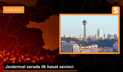 Ankara’nın Haymana ilçesinde jeotermal su kullanılan serada birinci hasat yapıldı