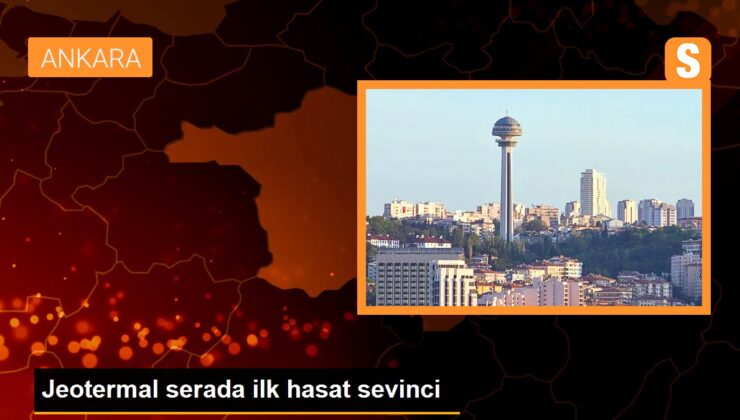 Ankara’nın Haymana ilçesinde jeotermal su kullanılan serada birinci hasat yapıldı