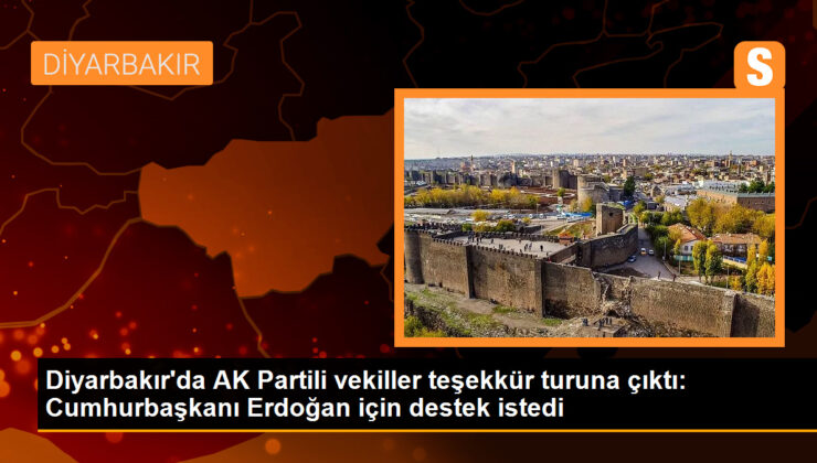 Diyarbakır’da AK Partili vekiller teşekkür tipine çıktı: Cumhurbaşkanı Erdoğan için dayanak istedi