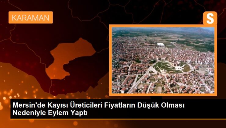 Mersin’de kayısı üreticileri fiyat düşüklüğüne reaksiyon gösterdi