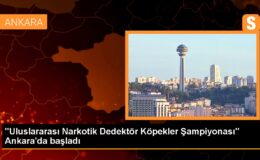 Milletlerarası Narkotik Dedektör Köpekler Şampiyonası Başladı