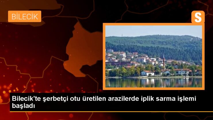 Pazaryeri’nde Şerbetçi Otu Üreticileri Yüksek Rekolte Bekliyor