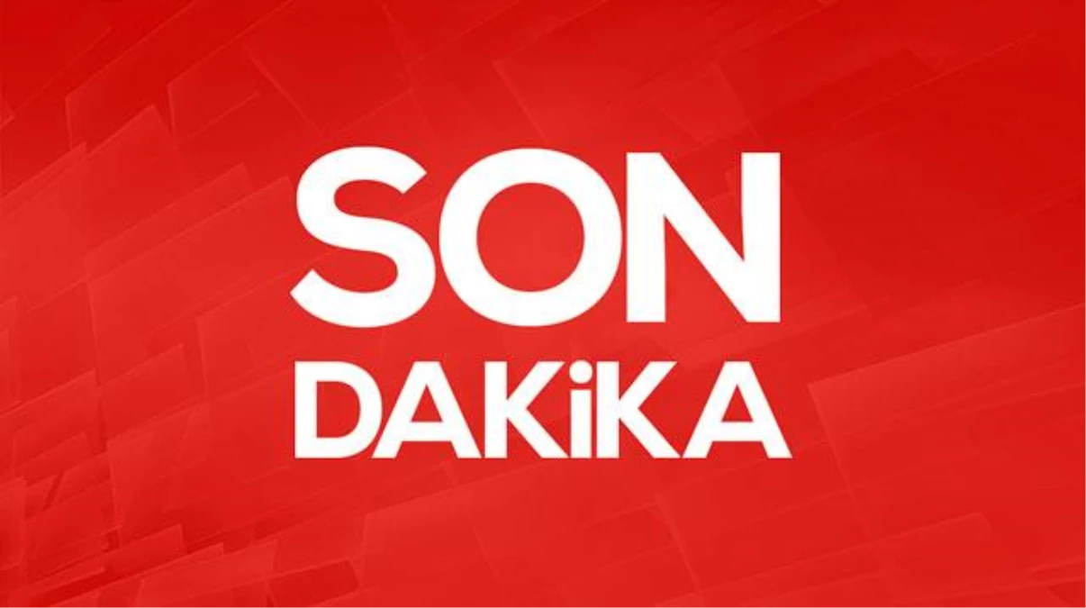 Son Dakika: Cumhurbaşkanı seçiminin 2. çeşidi için oy verme süreci başladı