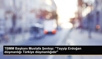 TBMM Lideri Şentop: Problem Tayyip Erdoğan’ı koltuktan indirmek değil, sorun hilali kırmak