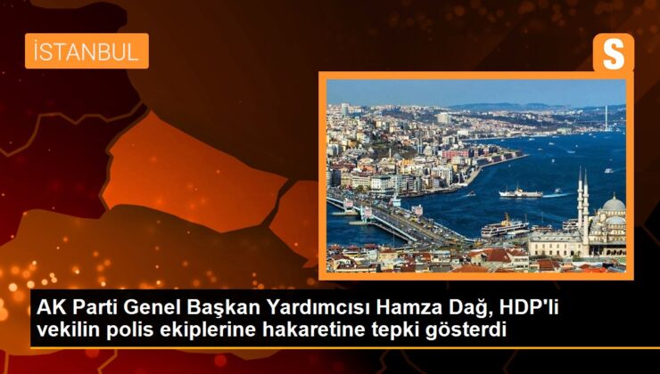 AK Parti Genel Lider Yardımcısı Hamza Dağ, HDP İstanbul Milletvekili Özgül Saki’nin polis takımlarına yönelik kelamlarına reaksiyon gösterdi
