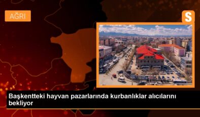 Ankara’da Kurban Pazarları Pazarlıklara Sahne Oluyor