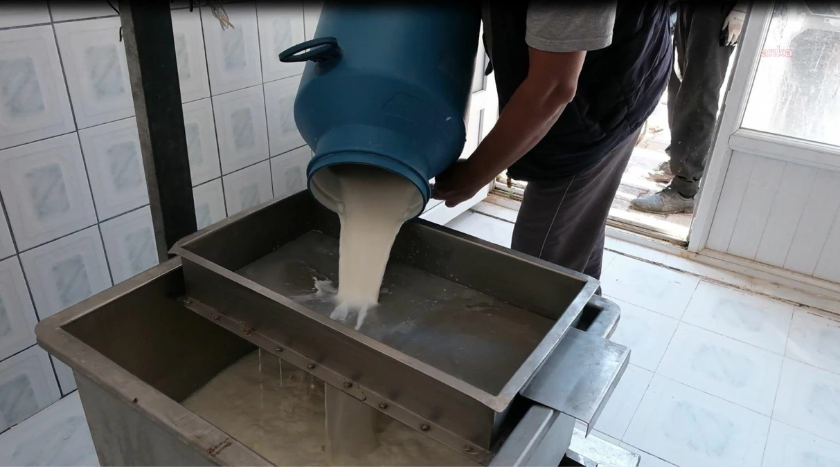 Antalya Büyükşehir Belediyesi, Elmalı’daki Süt Üreticileri Kooperatifi’ne Süt Soğutma Tankı Hibe Etti