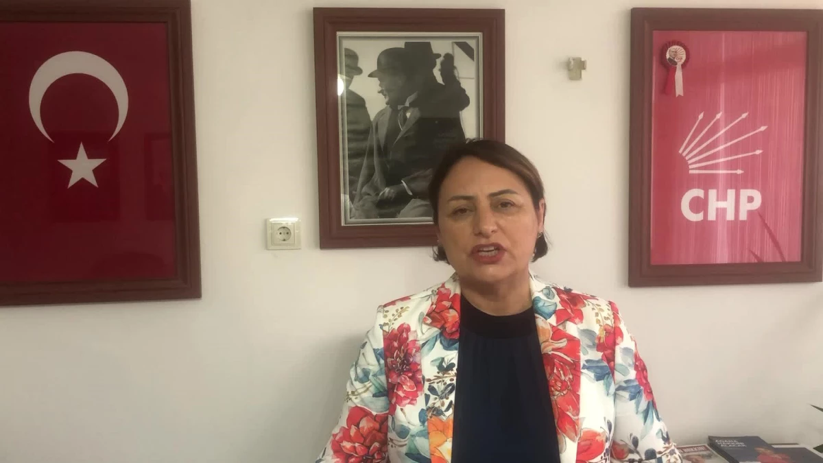CHP Adana Milletvekili Şevkin: İlçelerin vilayet yapılması değerli fakat Büyükşehir Yasası tekrar düzenlenmeli