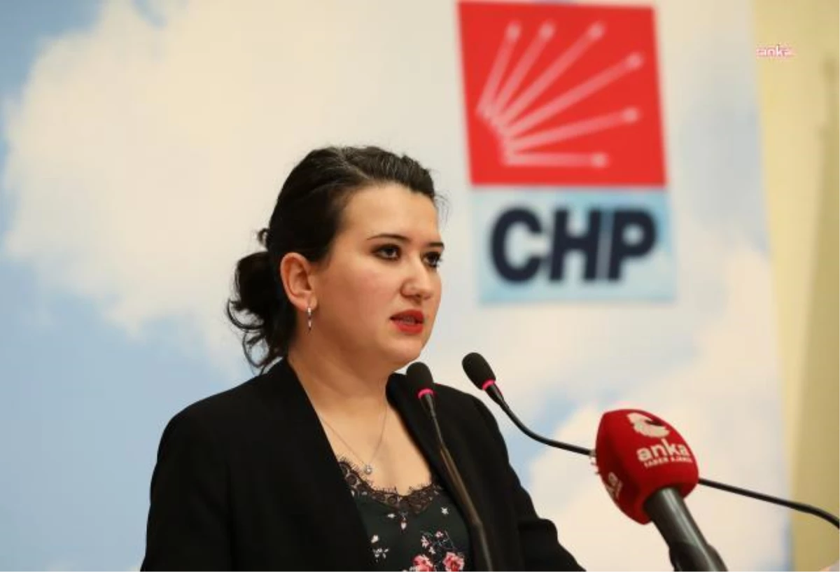 CHP Milletvekili Gökçe Gökçen, ÇEDES Projesi’ne Ait Sorular Yöneltti