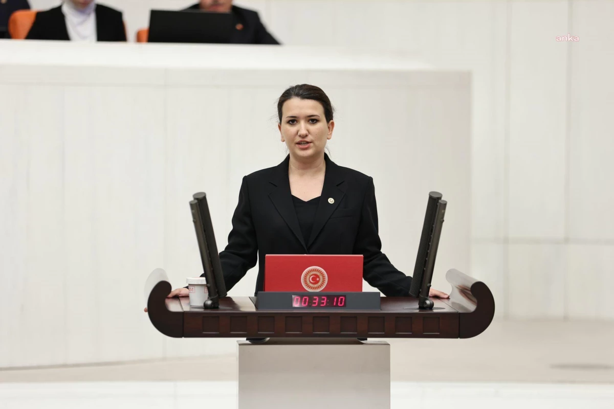 CHP Milletvekili Gökçe Gökçen: ‘Üç günde en az 10 bayan cinayeti gerçekleşti’