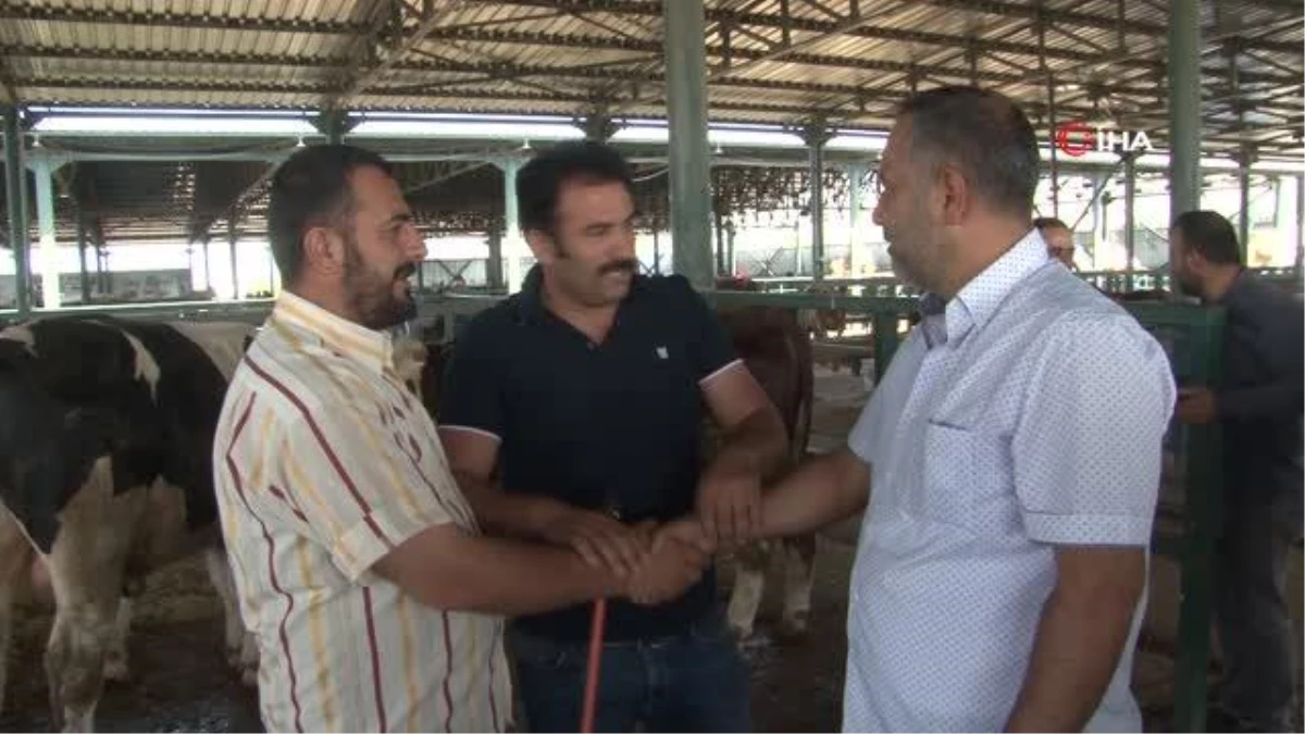 Eskişehir’de Kurbanlık Satıcıları İkili Bayram Yapıyor