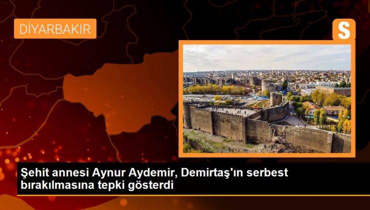 Şehit annesi Aynur Aydemir, Demirtaş’ın hür bırakılmasına reaksiyon gösterdi