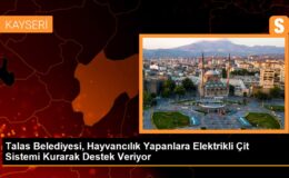 Talas Belediyesi, Hayvancılık Yapanlara Elektrikli Çit Sistemi Kurarak Takviye Veriyor