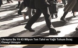 Ukrayna, Bu Yıl 43 Milyon Ton Tahıl ve Yağlı Tohum İhraç Edebilir