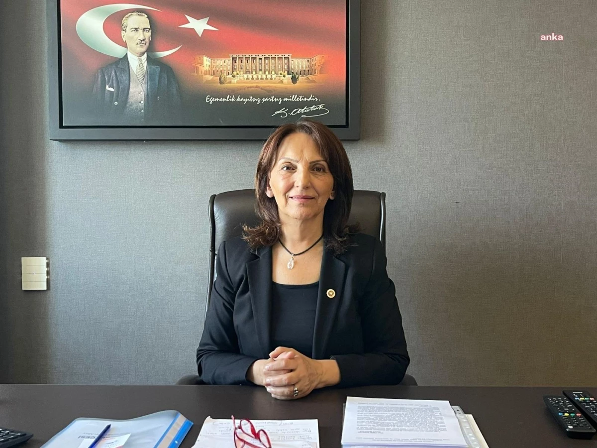 CHP Milletvekili Aliye Timisi Ersever, Orman Yangınlarıyla İlgili Sorular Yöneltti
