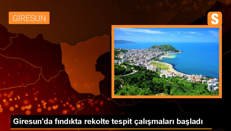 Giresun Ziraat Odası, 2023 Fındık Rekoltesi Kestirimi Çalışmalarına Başladı