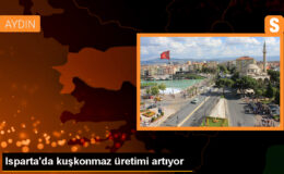 Isparta’da Kuşkonmaz Üretimi Hedeflenen Seviyeye Ulaşıyor