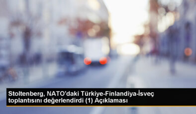 NATO Tepesi’nde Erdoğan ve İsveç Başbakanı görüşecek