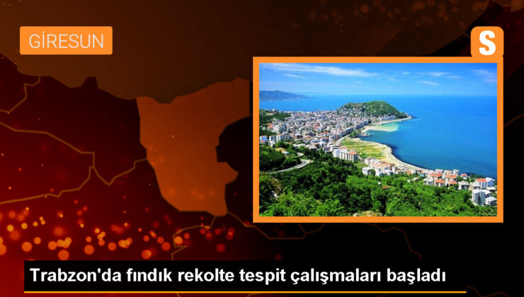 Trabzon’da 2023 Fındık Rekoltesi Tespit Çalışmaları Başladı