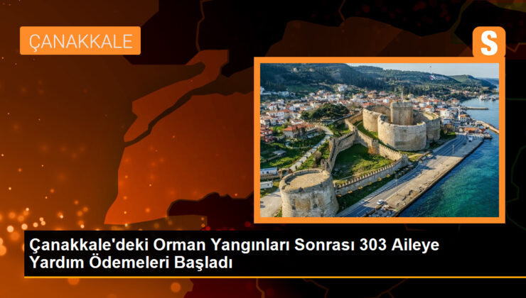 Çanakkale’deki Orman Yangınları Sonrası 303 Aileye Yardım Ödemeleri Başladı