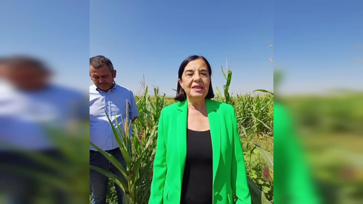 CHP Milletvekili Jale Parıltı Süllü, Eskişehir’de mısır üreticilerini ziyaret etti