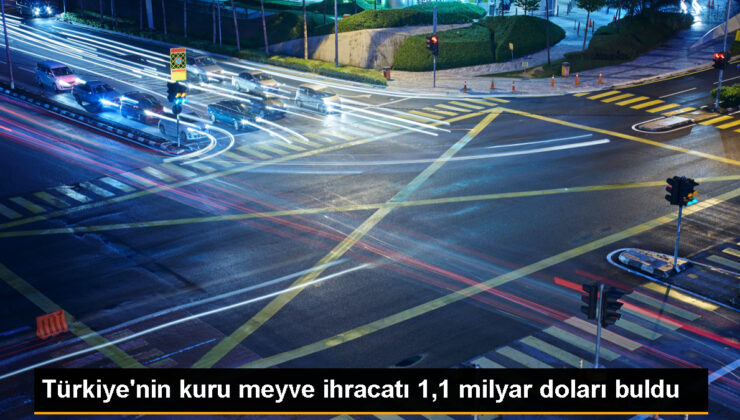 Türkiye’nin kuru meyve ve mamulleri ihracatı 1 milyar 103 milyon dolara ulaştı