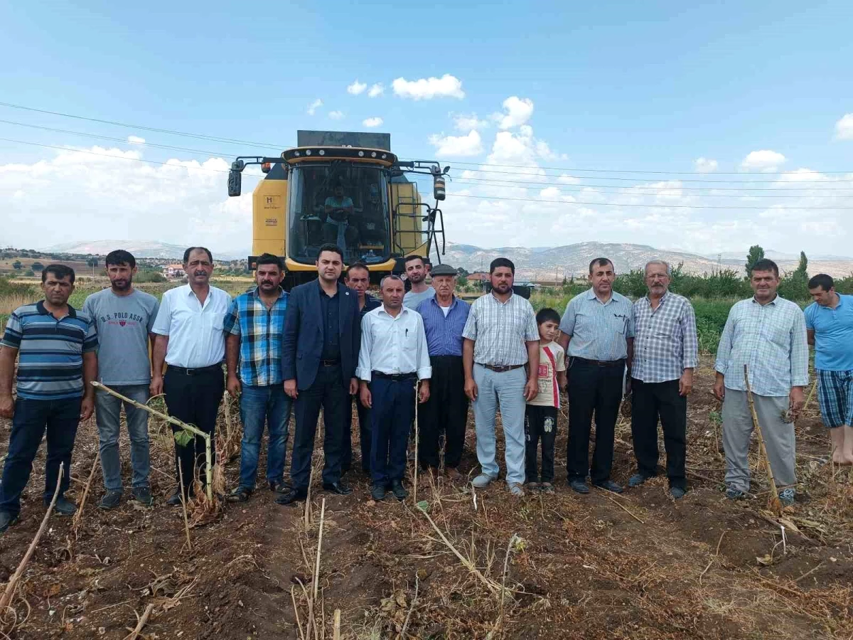 Adıyaman’ın Gölbaşı Kaymakamı Tarık Buğra Seyhan Ayçiçeği Hasadına Katıldı