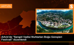 Artvin’de Sarıgöl Vadisi Muhtarları Boğa Güreşleri Şenliği Başladı