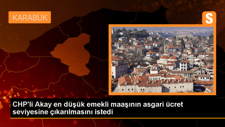 CHP Milletvekili Cevdet Akay: En düşük emekli maaşı minimum fiyat düzeyine çıkarılmalı