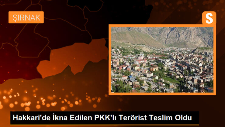 Hakkari’de İkna Edilen PKK’lı Terörist Teslim Oldu