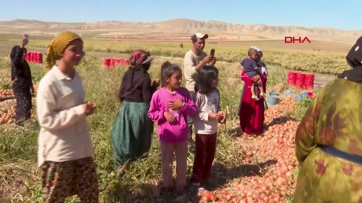 Kılıçdaroğlu, Bala’da soğan üreticileri ve tarım personelleriyle buluştu