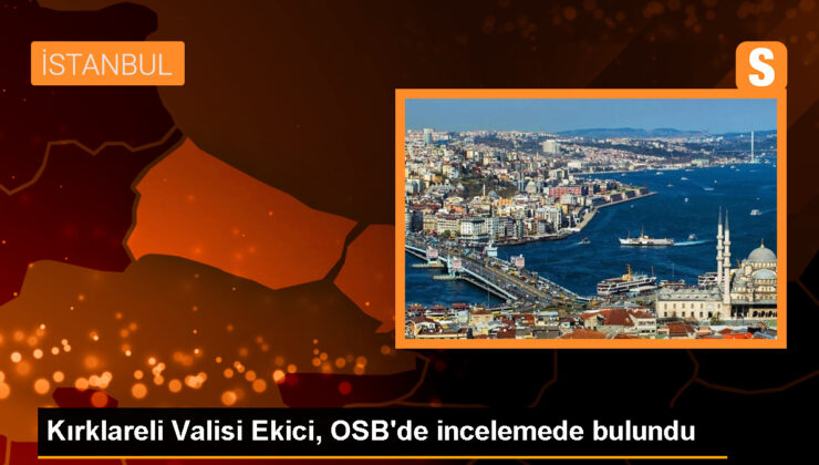 Kırklareli Valisi Birol Ekici, OSB’de İncelemelerde Bulundu