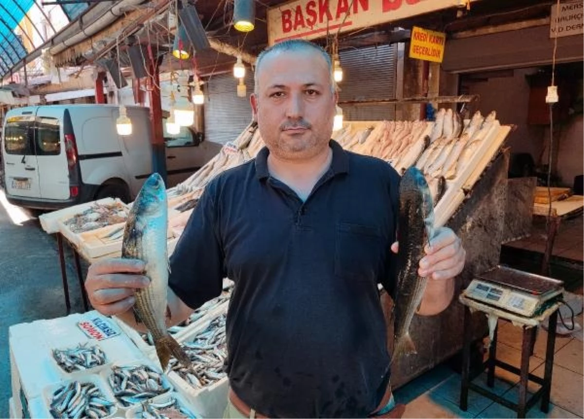 Mersin’de Balık Fiyatları Yüzde 80 Ucuzladı