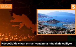 Muğla’da Orman Yangınına Müdahale Ediliyor